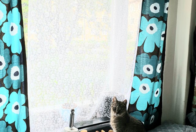 Skebokvarnsvägen 41, Bandhagen - bild 1