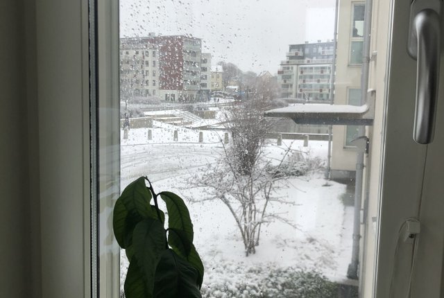 Skonaren Ingos gata 7, Göteborg - bild 6