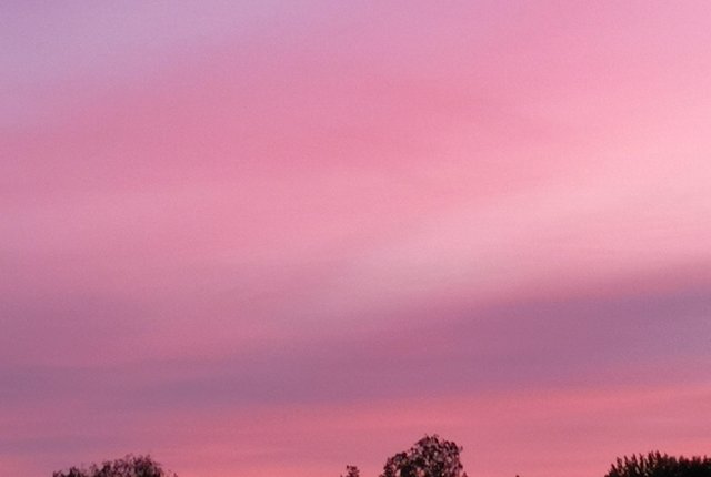 , Tyresö - bild 6