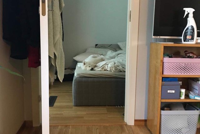 Poseidons gränd 7, Handen - bild 1