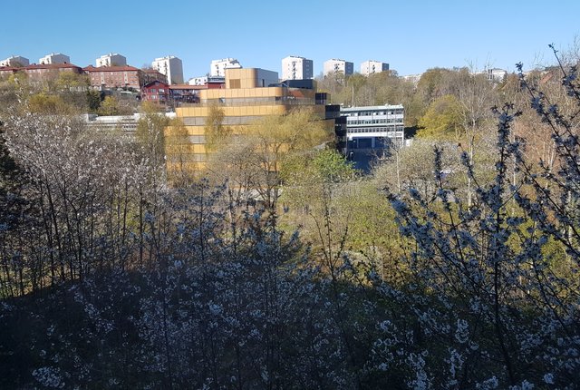 , Göteborg - bild 5