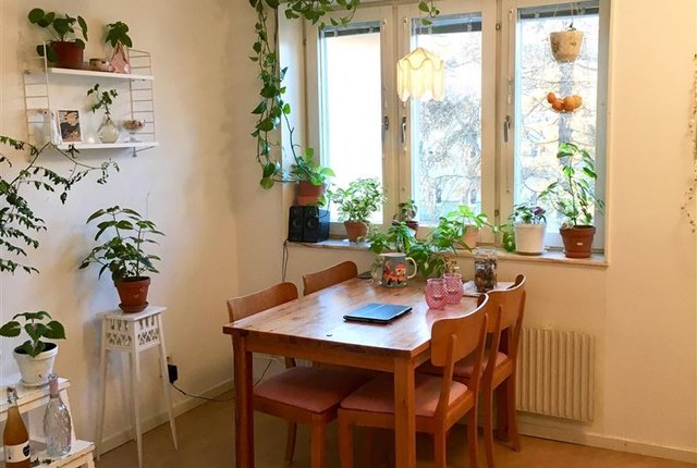 Hovrättsgatan 10, Umeå - bild 6