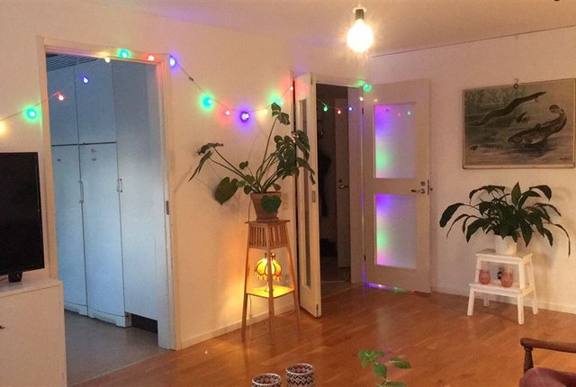Hovrättsgatan 10, Umeå - bild 7