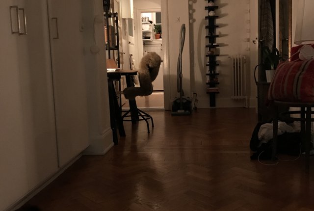 Långgårdsgatan 18, Malmö - bild 3