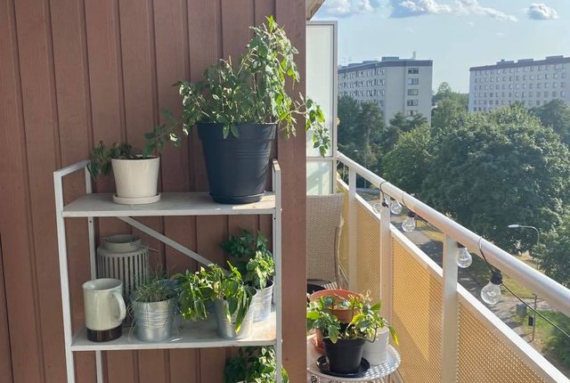 Vita Liljans väg 17, Skärholmen - bild 3
