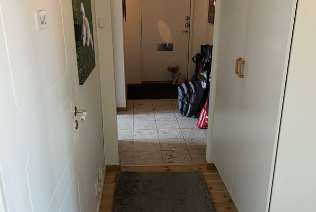 Dämmegatan 10, Helsingborg - bild 8