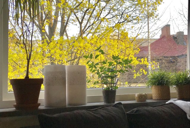 Ängdalavägen 37, Malmö - bild 2