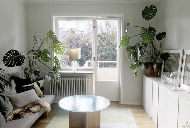 Forsskålsgatan 9, Johanneshov - bild 1