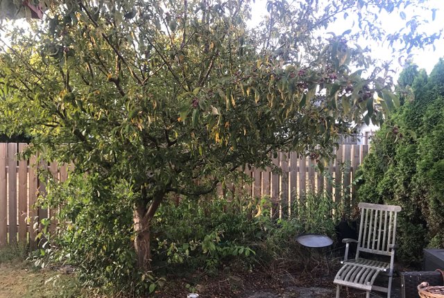 Norra Vånggatan 15C, Falsterbo - bild 1