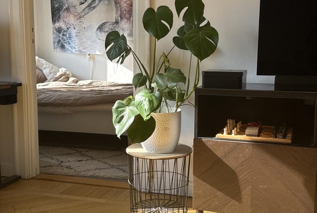 Hedinsgatan 9, Stockholm - bild 5