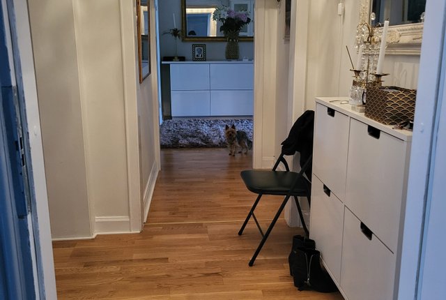 Kvarngatan 6A, Stockholm - bild 7