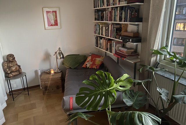 Karl Gustavsgatan 59, Göteborg - bild 7