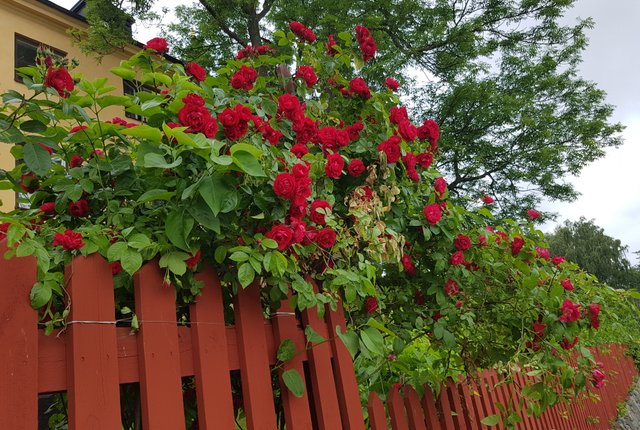 , Stockholm - bild 3