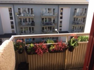 Lugntorpsvägen 57, Hägersten - bild 2