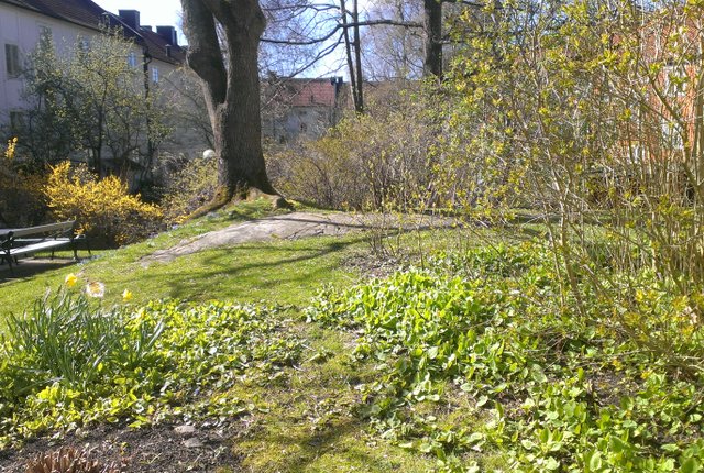 Birger Jarlsgatan 16, Göteborg - bild 1