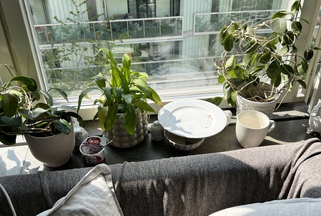 Rorgängargatan 12, Stockholm - bild 7