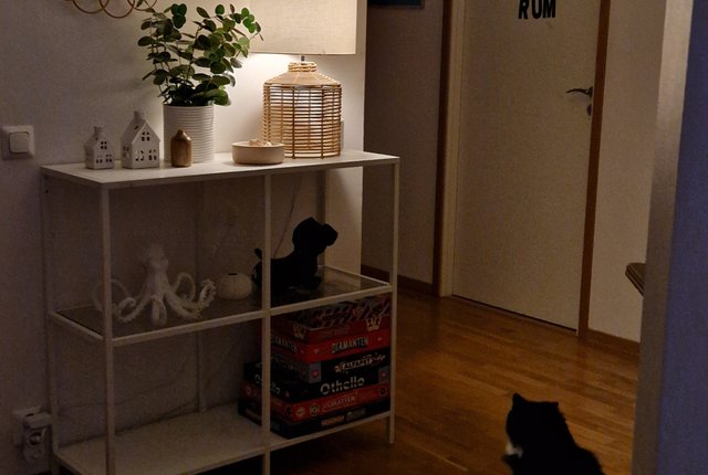 Sjöliljegatan 5, Visby - bild 7