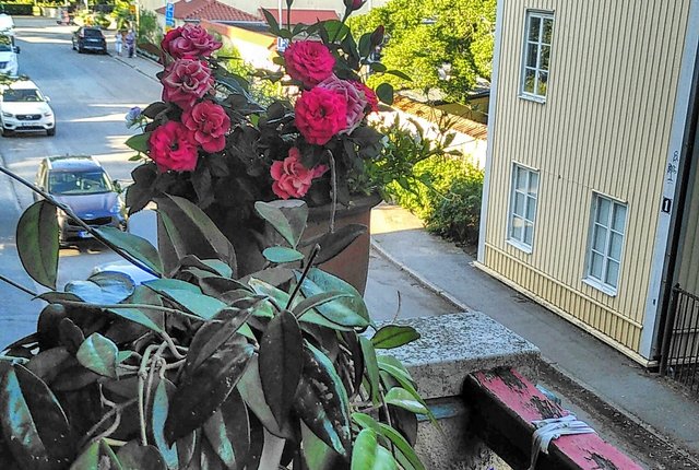 Floragatan 8, Örebro - bild 1