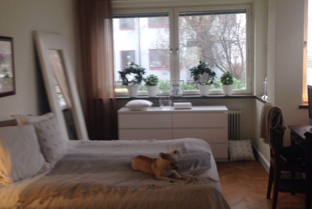 , Malmö - bild 1