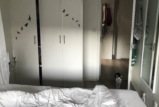 Butgatan, Norrköping - bild 2