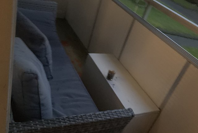 Dalarövägen 52, Handen - bild 8
