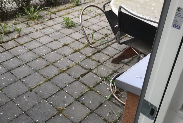 Brattforsgatan 14, Farsta - bild 6