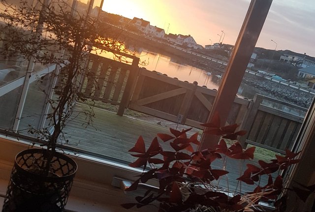 Tjolmenvägen 25B, Hälsö - bild 3