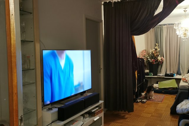 Hagforsgatan 24, Göteborg - bild 2