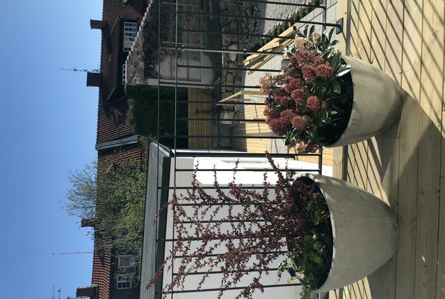 Stora Rådmansgatan 7A, Simrishamn - bild 5