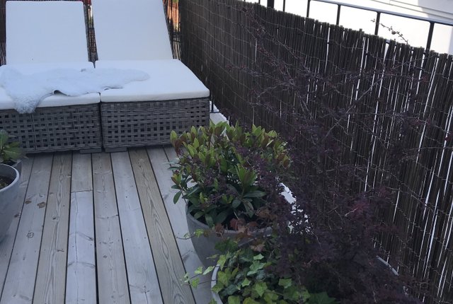 Stora Rådmansgatan 7A, Simrishamn - bild 2