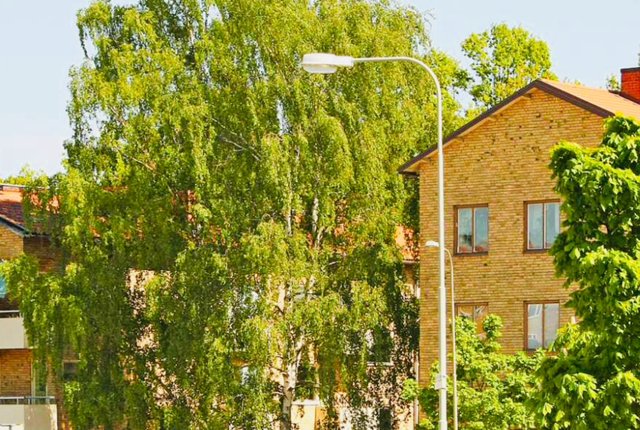 Lämnas ut efter kontakt, Bromma - bild 1