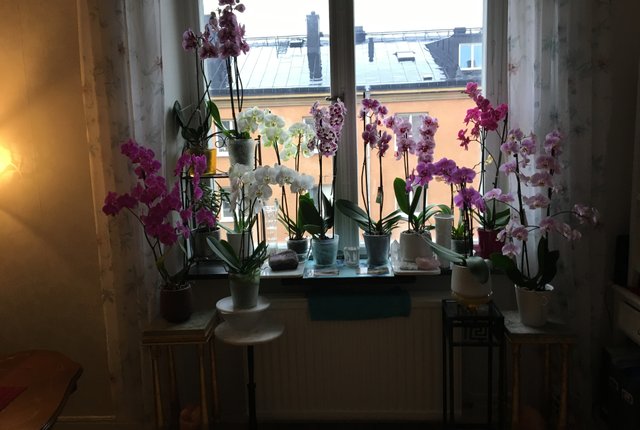 Råggatan 3, Stockholm - bild 3