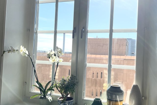 Bohusgatan 23A, Stockholm - bild 5