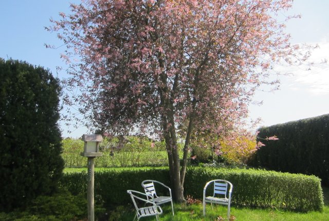 Blomstervägen 20, Flyinge - bild 7