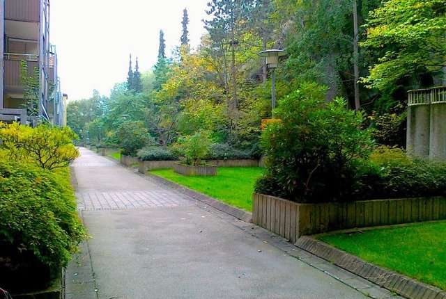 Jungmansgatan 31, Göteborg - bild 6