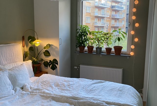 Kansliskrivargatan 21, Uppsala - bild 7