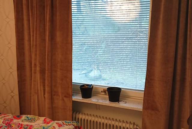 Nykroppagatan 42, Farsta - bild 1
