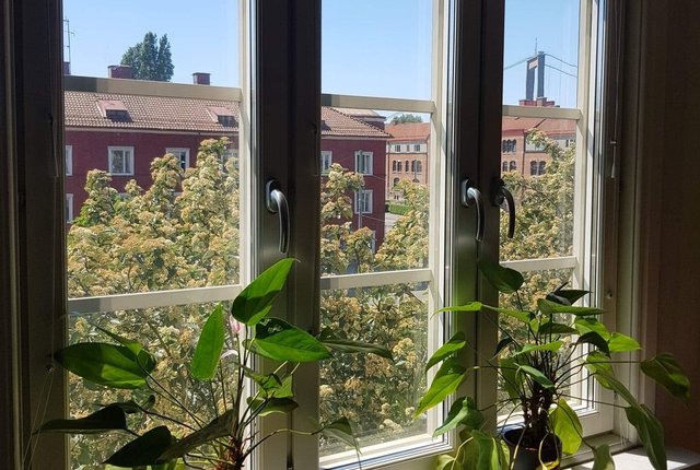 Älvsborgsgatan 10C, Göteborg - bild 1
