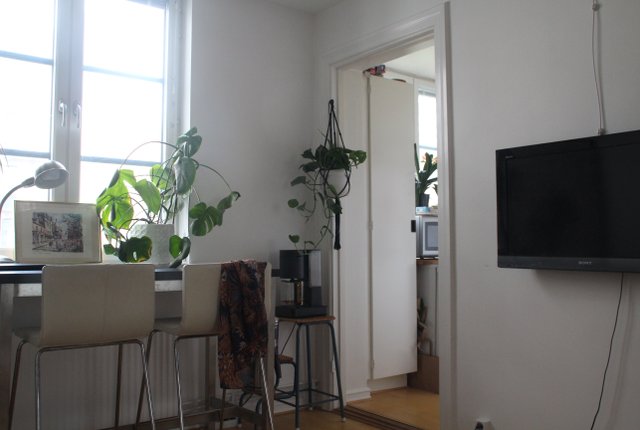Stora Södergatan 40B, Lund - bild 5
