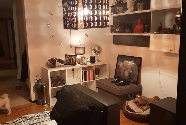 Västra Rönneholmsvägen 68, Malmö - bild 7