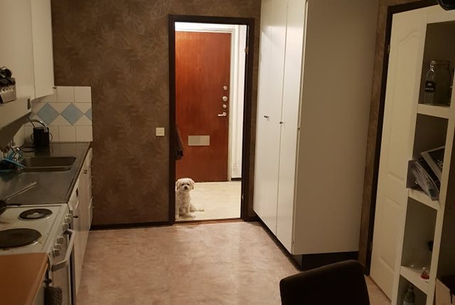 Västra Rönneholmsvägen 68, Malmö - bild 4