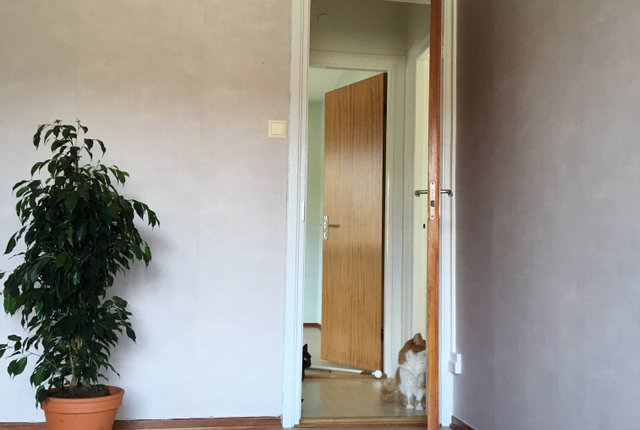 Arvid Mörnes väg 19, Bromma - bild 3