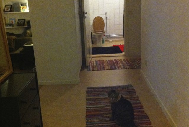 Högamöllegatan 16, Malmö - bild 4