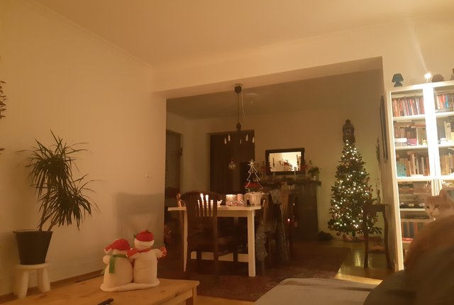Thottsgatan 14, Malmö - bild 1