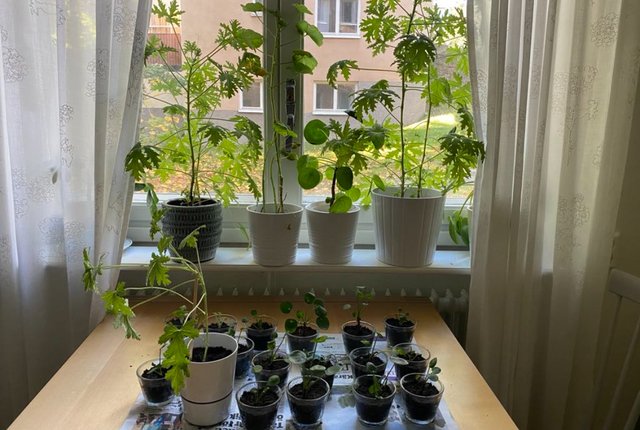 Helgesons väg 1, Nacka - bild 1