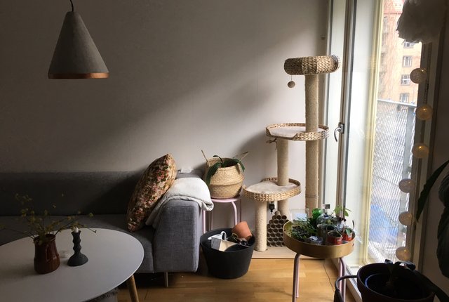 Bangårdsgatan 17, Göteborg - bild 6