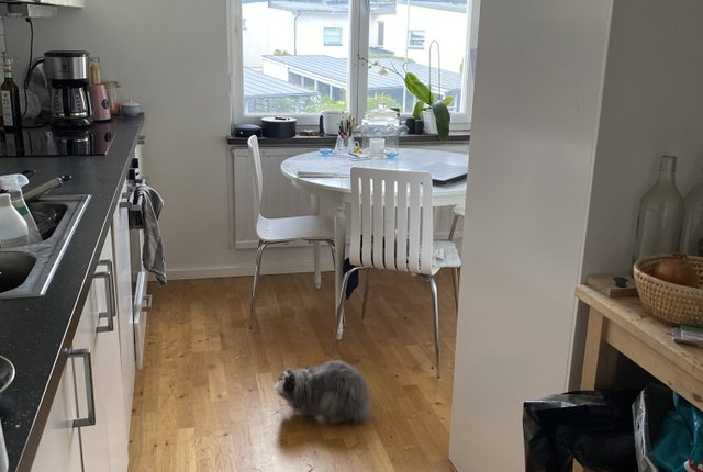 Gamla skolvägen 32, Saltsjöbaden - bild 4
