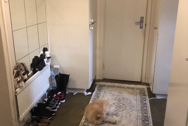 Ormängsgatan 24, Hässelby - bild 2