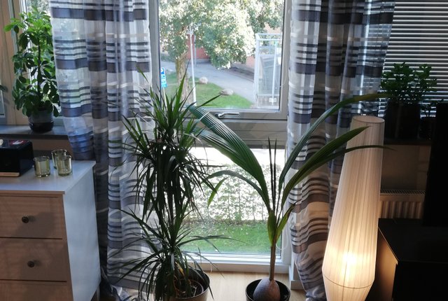Oluff Nilssons väg 3, Partille - bild 3