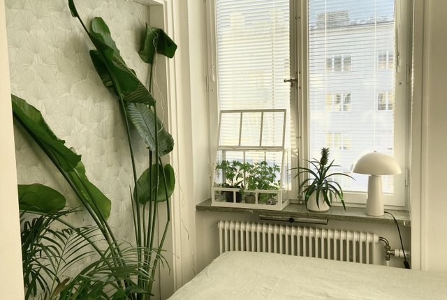 Stadshagsplan 6, Stockholm - bild 5